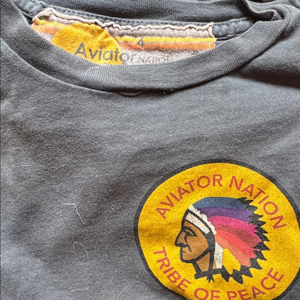 Aviator Nation Charcoal Tee with Colorful Emblem
